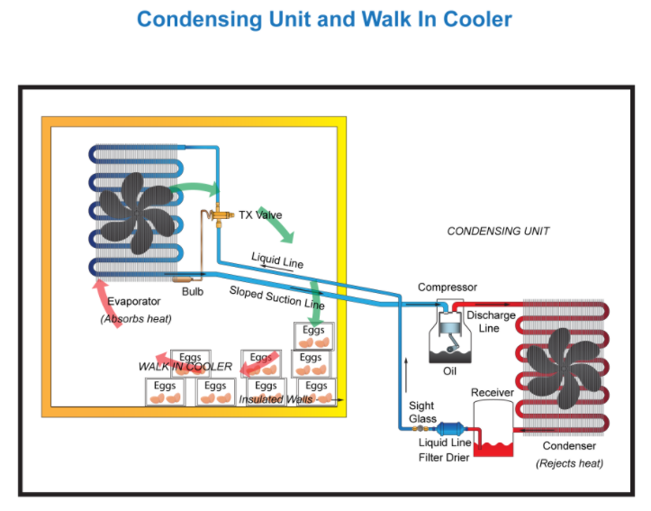 Cornell Cooperative Extension  Safe Minimum Cooking Temperatures